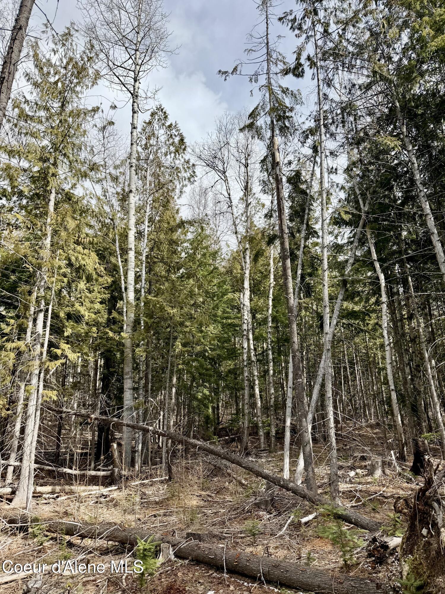 Nna Cross Mountain Road Sandpoint, ID 83864 - Photo 18 of 33 IMG_1020