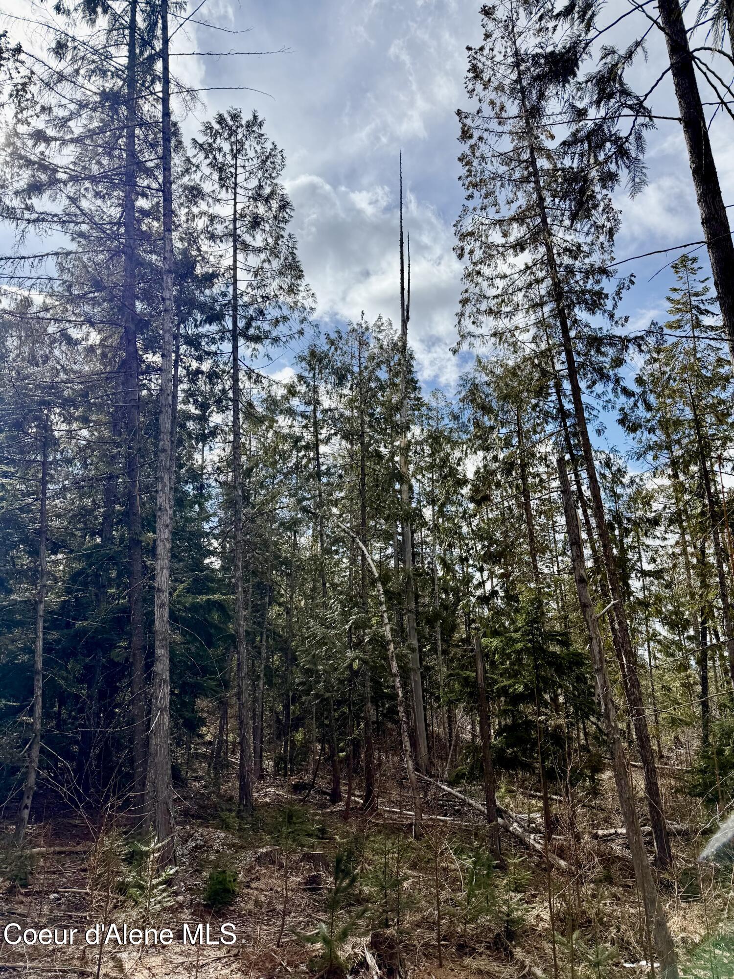 Nna Cross Mountain Road Sandpoint, ID 83864 - Photo 19 of 33 IMG_1019