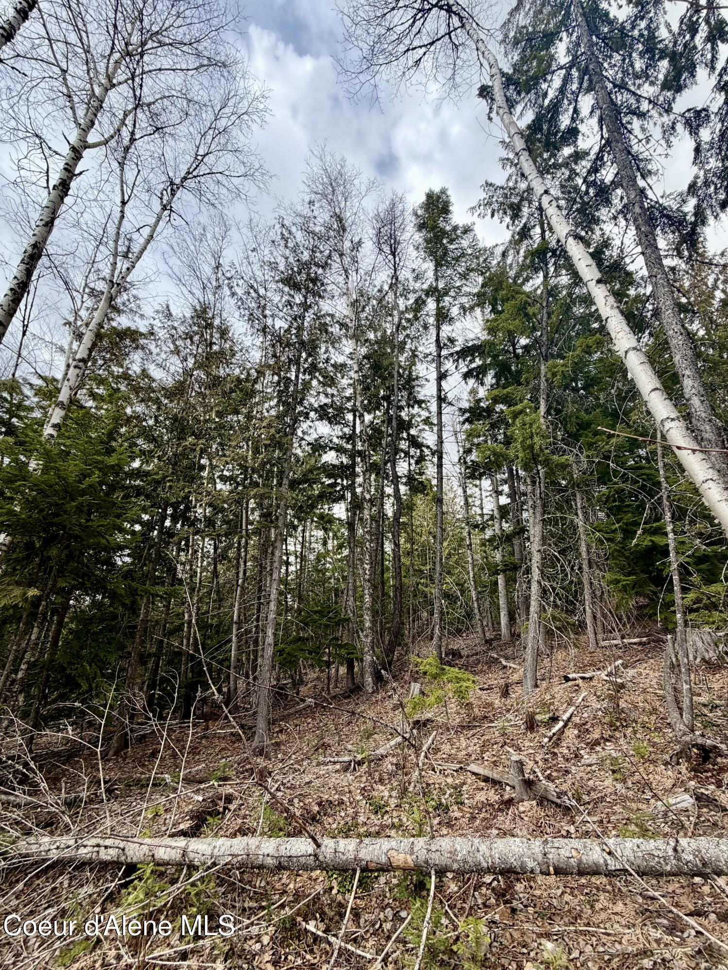 Nna Cross Mountain Road Sandpoint, ID 83864 - Photo 20 of 33 IMG_1013