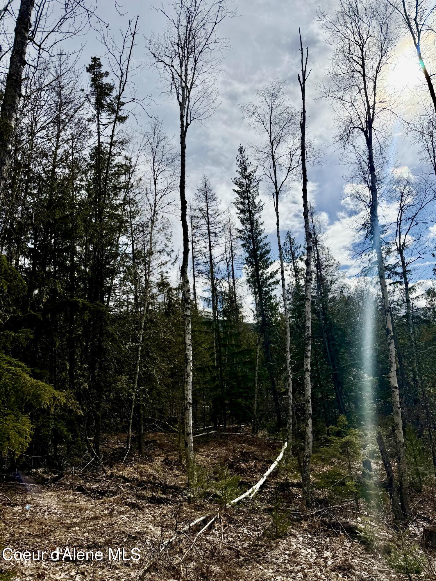 Nna Cross Mountain Road Sandpoint, ID 83864 - Photo 21 of 33 IMG_1015