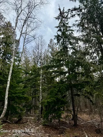 $199,500 | Nna Cross Mountain Road, Sandpoint, ID 83864