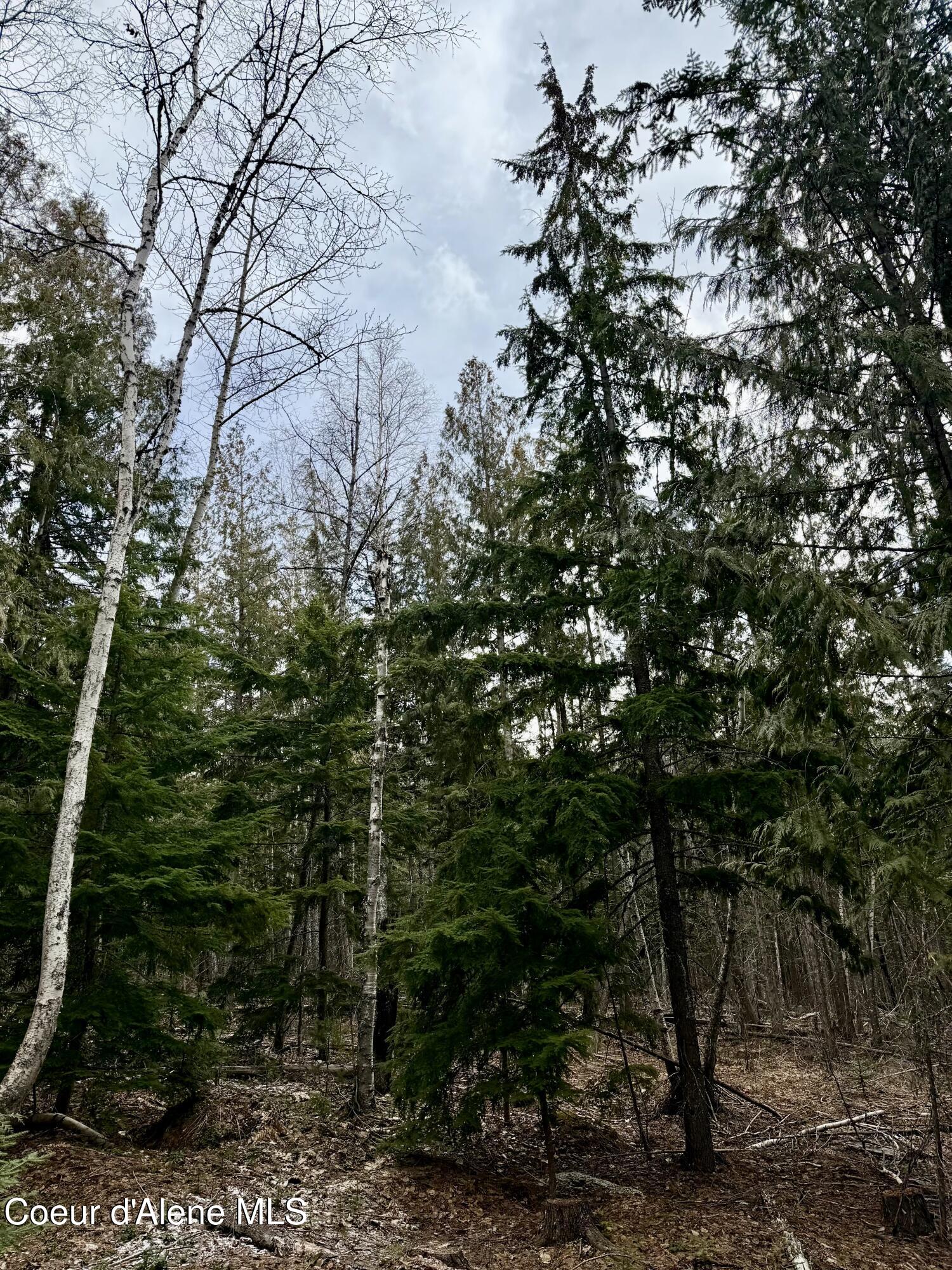 Nna Cross Mountain Road Sandpoint, ID 83864 - Photo 23 of 33 IMG_1012