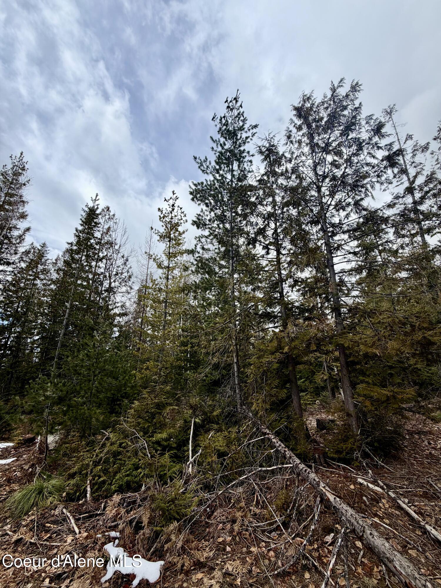 Nna Cross Mountain Road Sandpoint, ID 83864 - Photo 25 of 33 IMG_1008