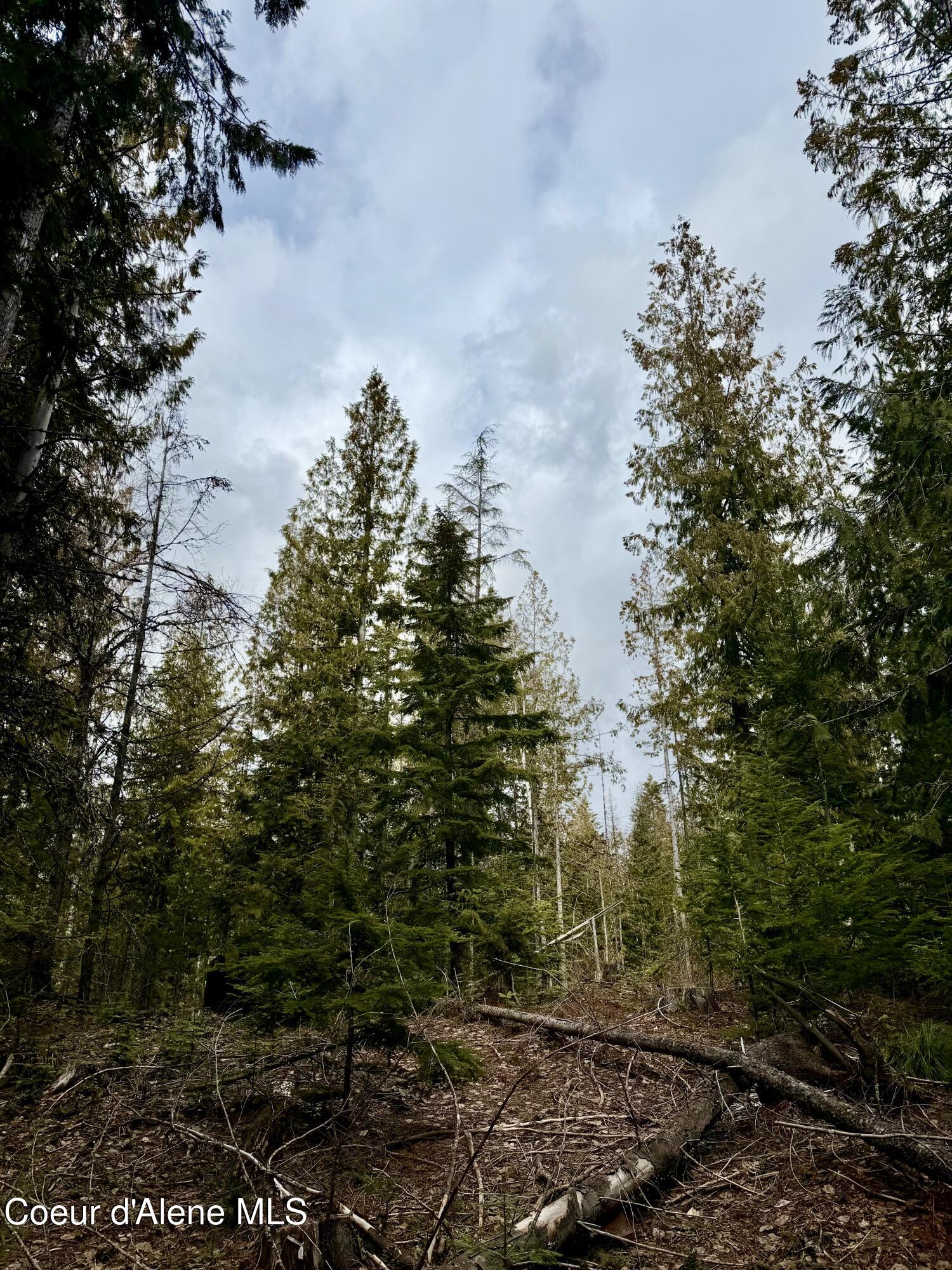 Nna Cross Mountain Road Sandpoint, ID 83864 - Photo 26 of 33 IMG_1011