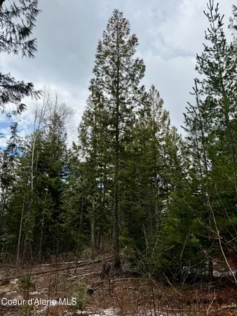 $199,500 | Nna Cross Mountain Road, Sandpoint, ID 83864