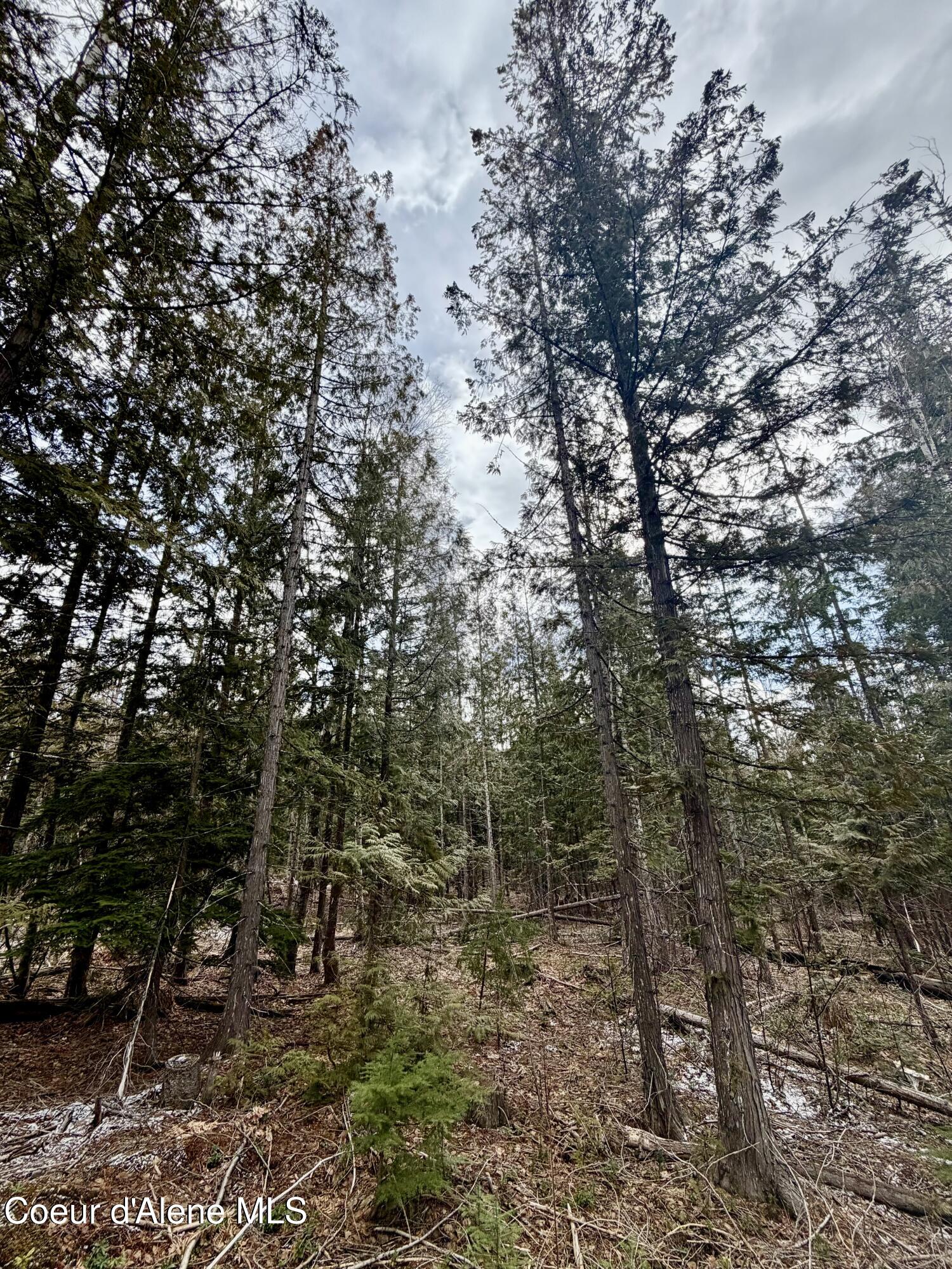 Nna Cross Mountain Road Sandpoint, ID 83864 - Photo 28 of 33 IMG_1009