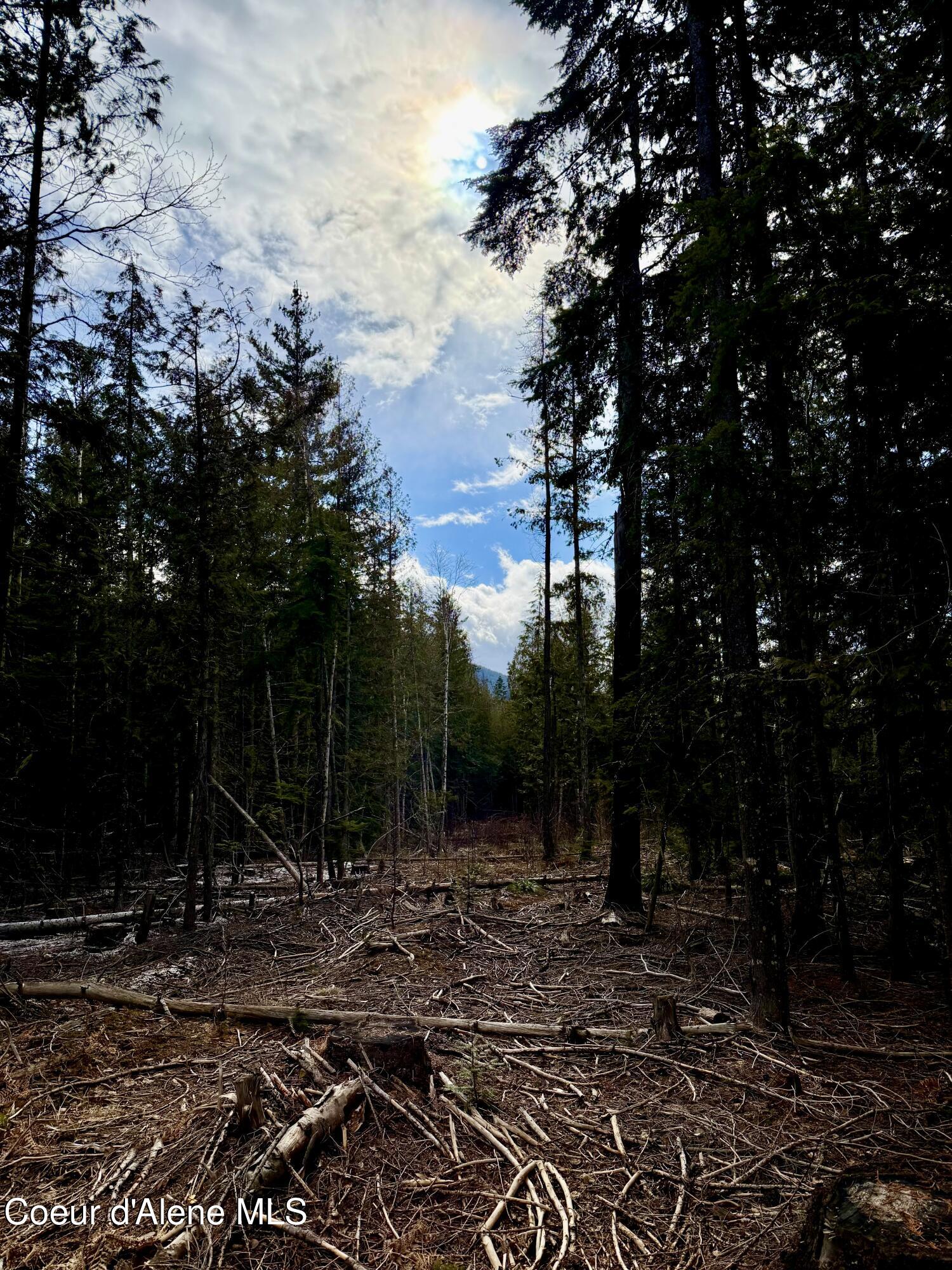 Nna Cross Mountain Road Sandpoint, ID 83864 - Photo 30 of 33 IMG_1004