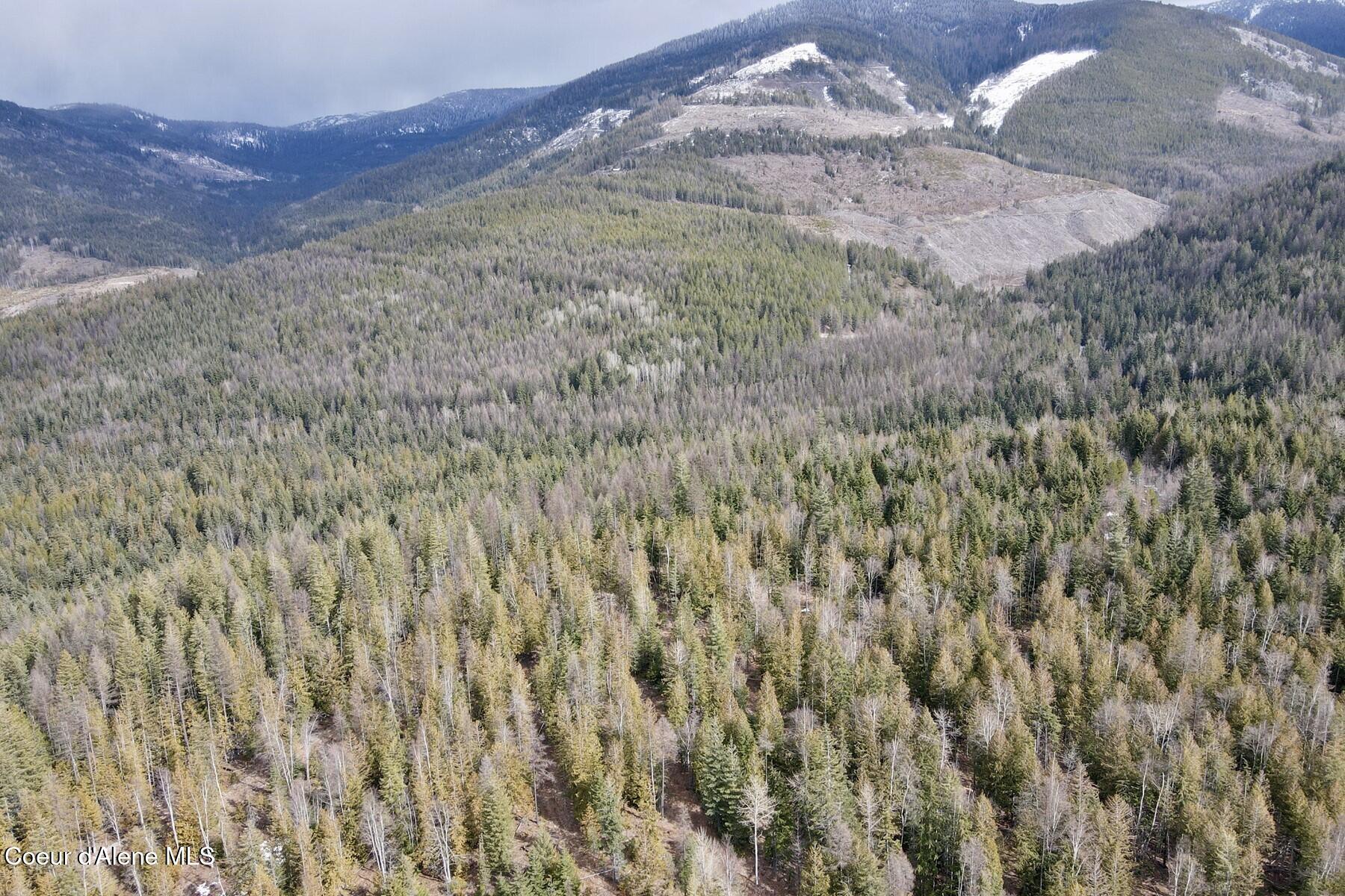 Nna Cross Mountain Road Sandpoint, ID 83864 - Photo 3 of 33 003_dji_fly_20260310_130542_619_1773