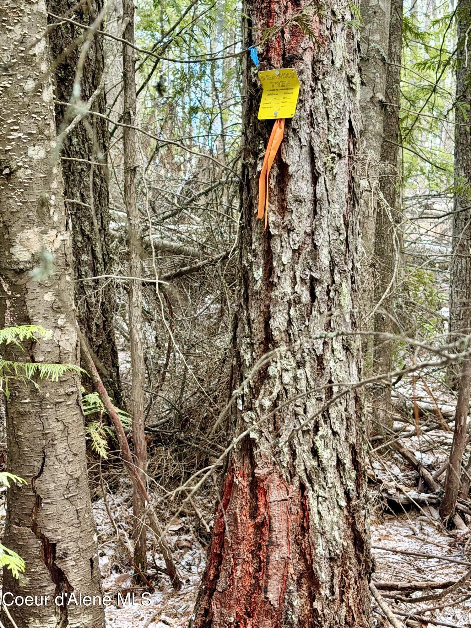 Nna Cross Mountain Road Sandpoint, ID 83864 - Photo 31 of 33 IMG_1003