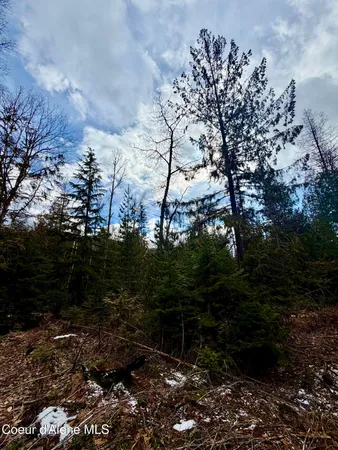 $199,500 | Nna Cross Mountain Road, Sandpoint, ID 83864