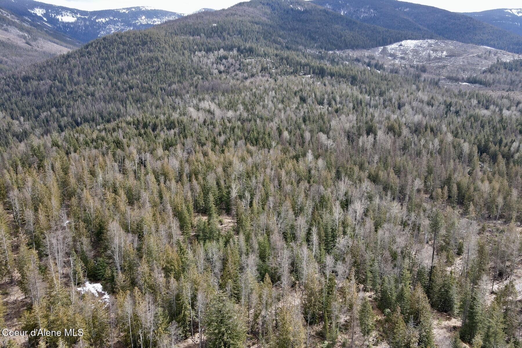 Nna Cross Mountain Road Sandpoint, ID 83864 - Photo 4 of 33 004_dji_fly_20260310_130458_618_1773