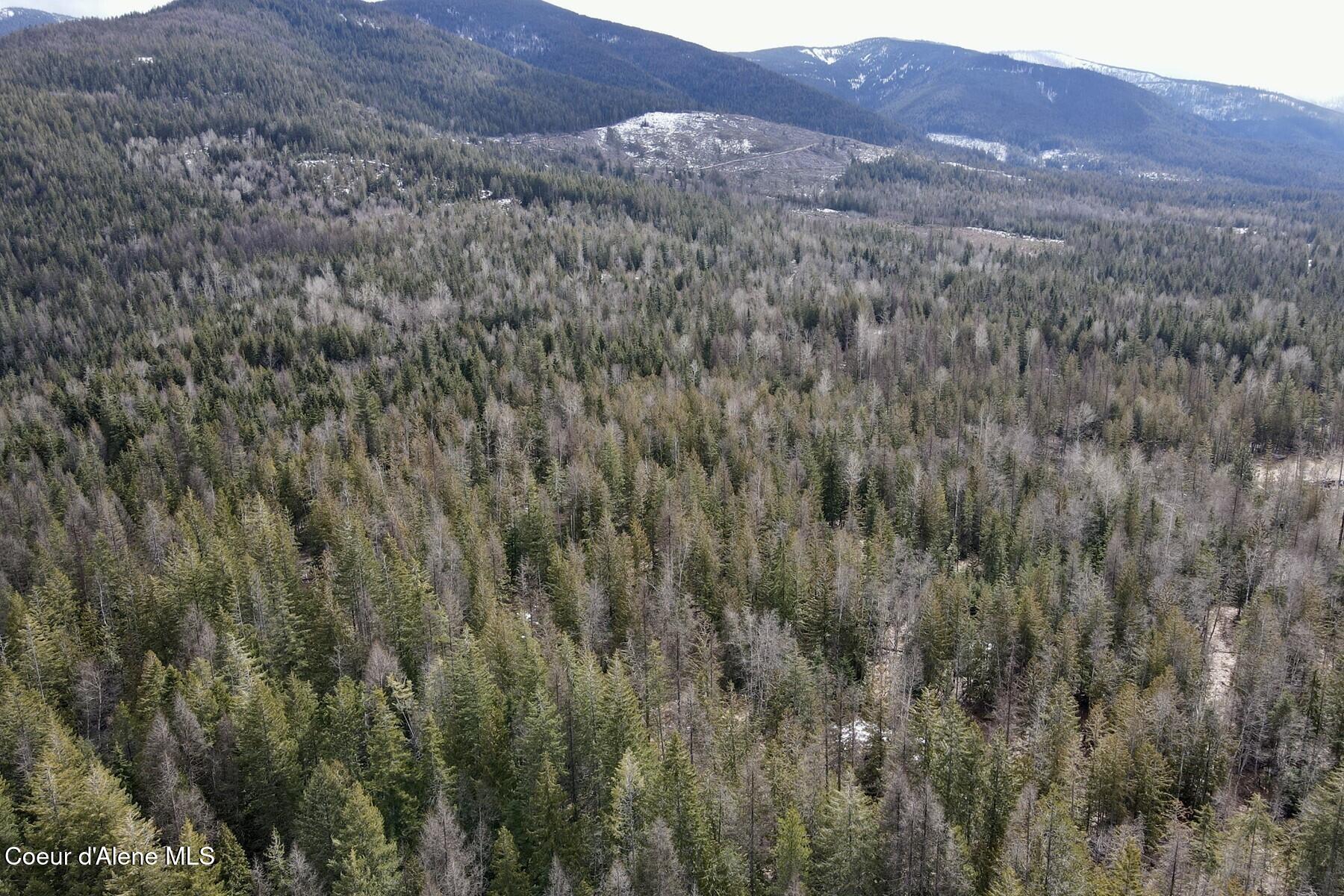 Nna Cross Mountain Road Sandpoint, ID 83864 - Photo 5 of 33 005_dji_fly_20260310_130430_617_1773