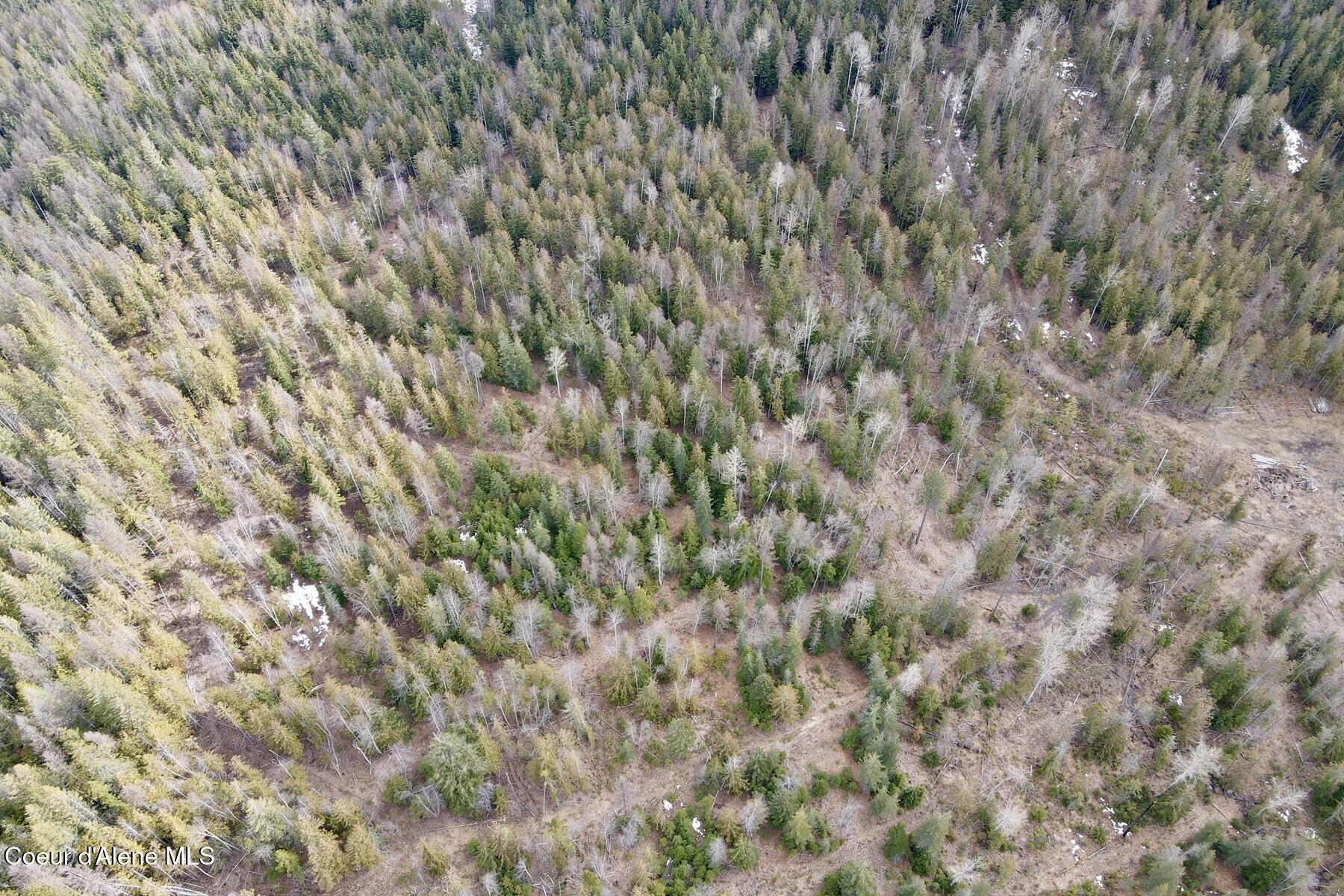 Nna Cross Mountain Road Sandpoint, ID 83864 - Photo 7 of 33 007_dji_fly_20260310_130848_622_1773