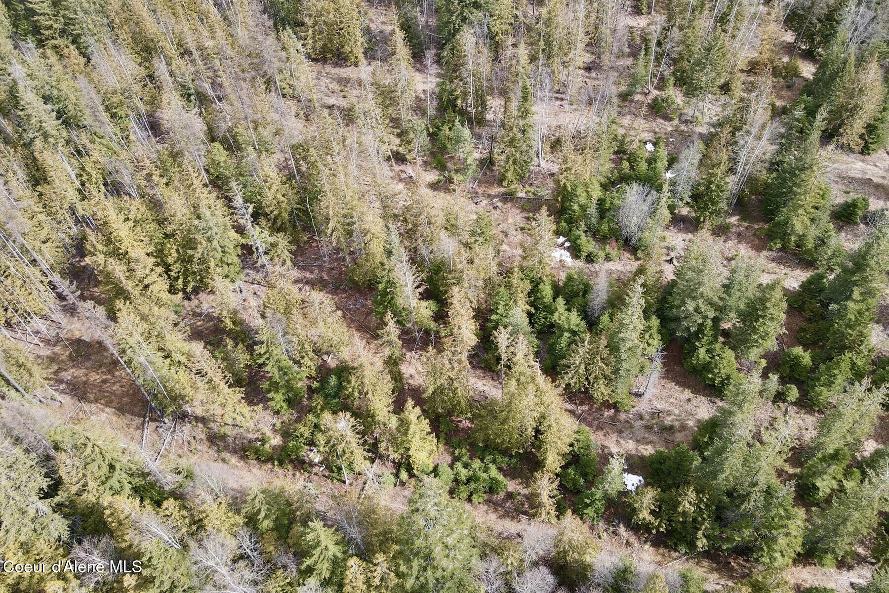 Nna Cross Mountain Road Sandpoint, ID 83864 - Photo 8 of 33 008_dji_fly_20260310_130746_621_1773