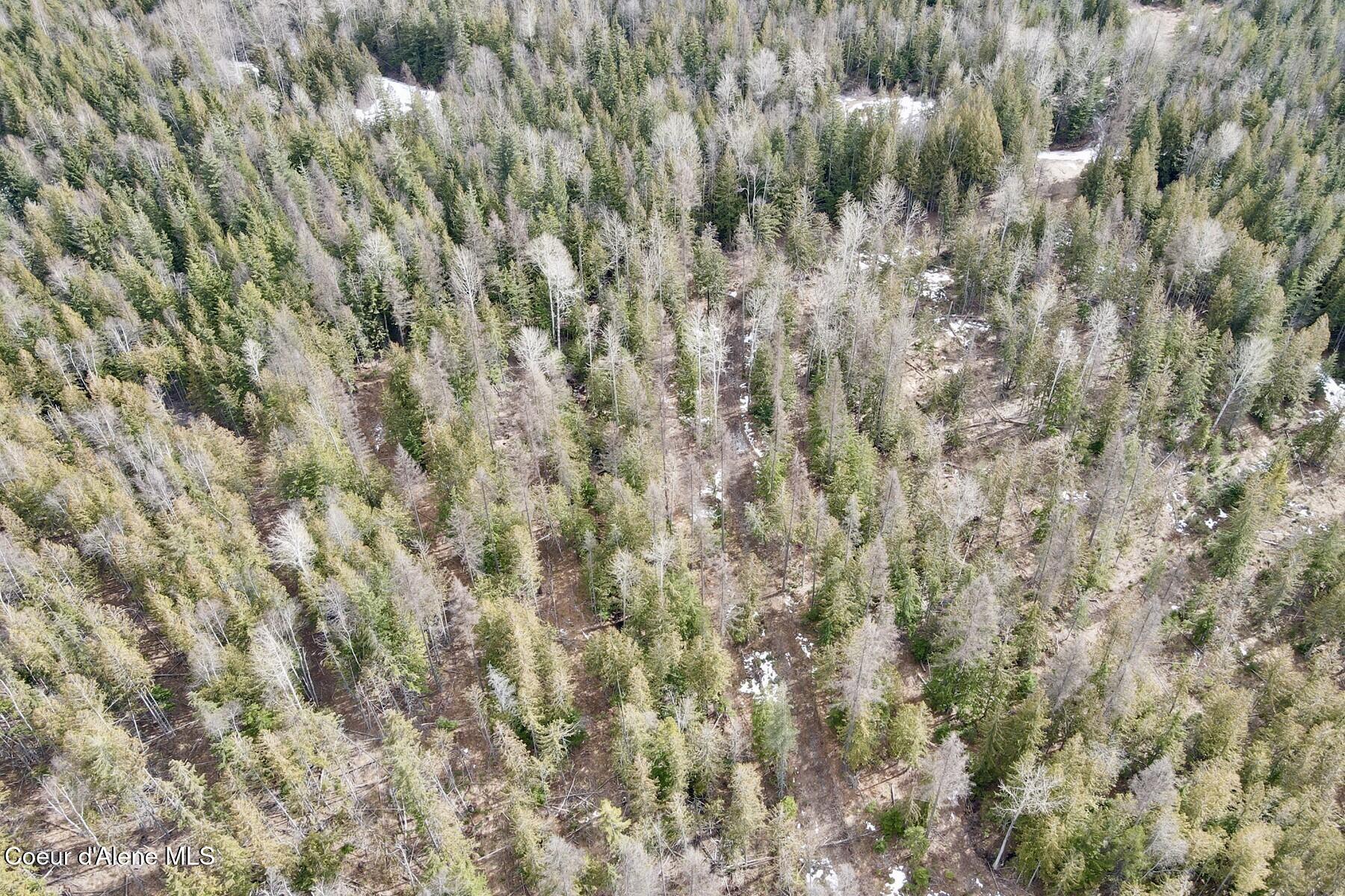 Nna Cross Mountain Road Sandpoint, ID 83864 - Photo 9 of 33 009_dji_fly_20260310_130600_620_1773