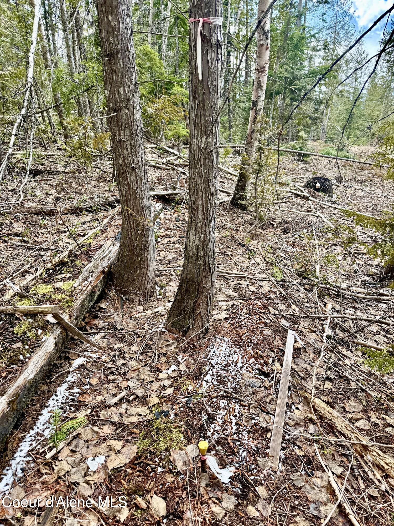 Nna Cross Mountain Road Sandpoint, ID 83864 - Photo 10 of 33 IMG_1025