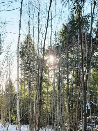 $28,000 | B-2-backlot B-2-backlot Pioneer Path, Aurora, ME 04408