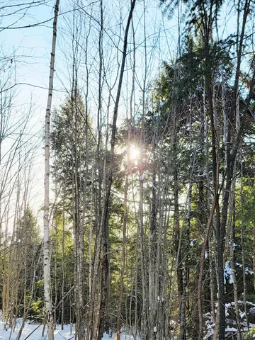 $28,000 | B-2-backlot B-2-backlot Pioneer Path, Aurora, ME 04408