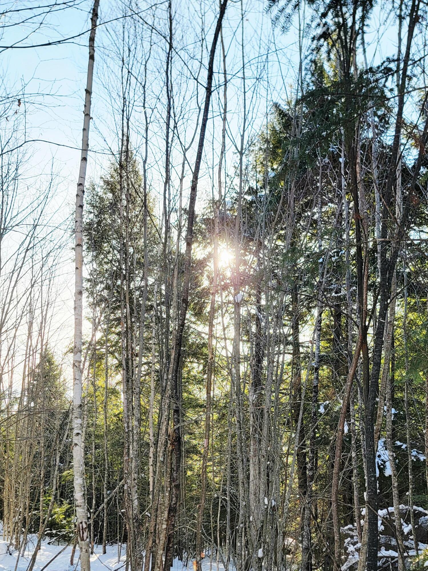 B-2-backlot B-2-backlot Pioneer Path Aurora, ME 04408 - Photo 1 of 24 B-2 Back Lot