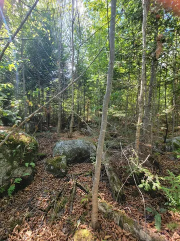 $28,000 | B-2-backlot B-2-backlot Pioneer Path, Aurora, ME 04408
