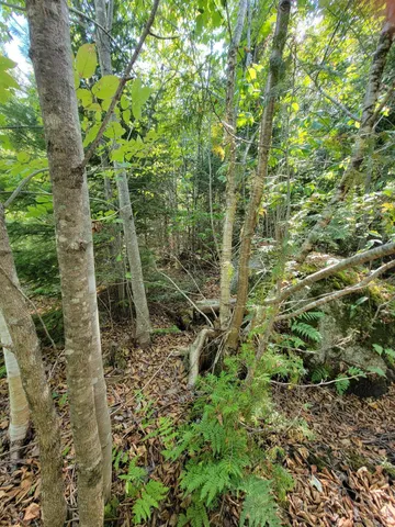 $28,000 | B-2-backlot B-2-backlot Pioneer Path, Aurora, ME 04408