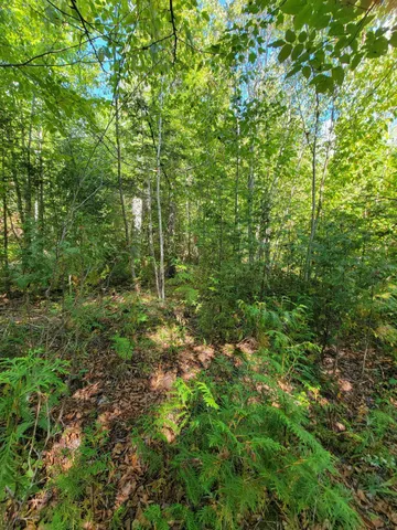 $28,000 | B-2-backlot B-2-backlot Pioneer Path, Aurora, ME 04408