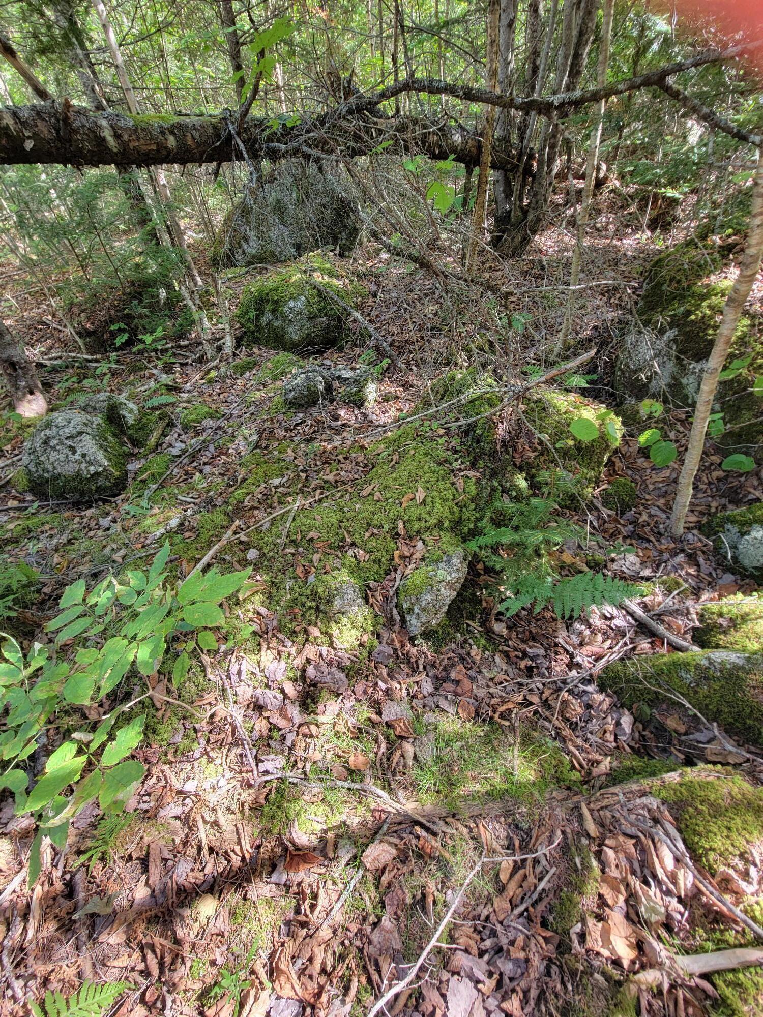 B-2-backlot B-2-backlot Pioneer Path Aurora, ME 04408 - Photo 13 of 24 B-2 Back Lot