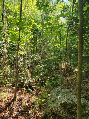 $28,000 | B-2-backlot B-2-backlot Pioneer Path, Aurora, ME 04408