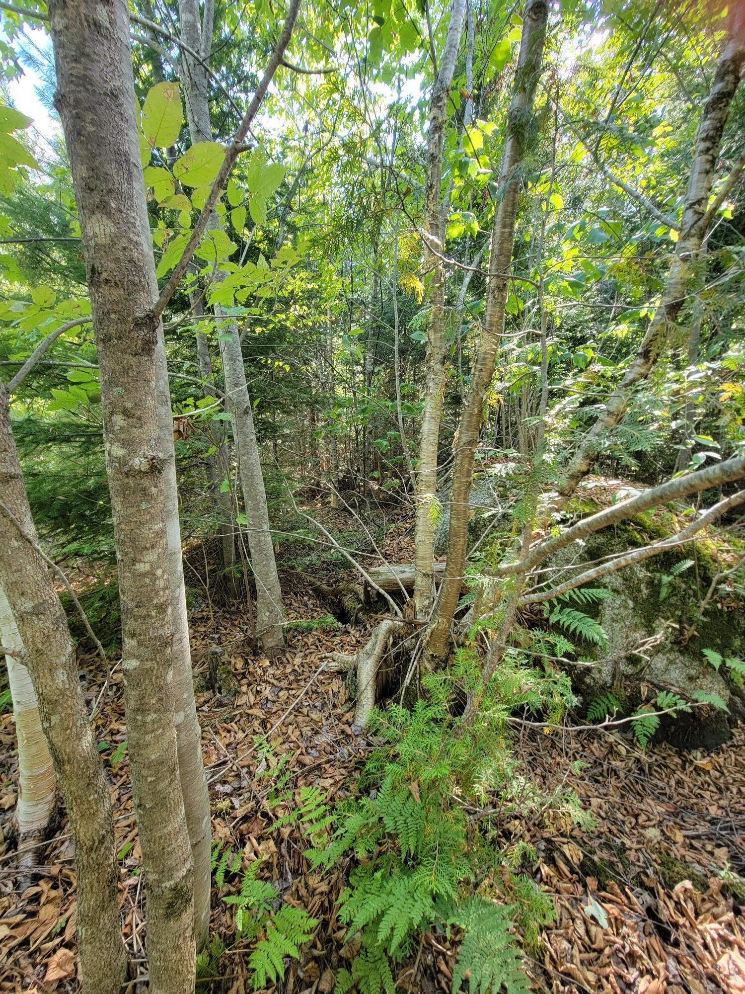 B-2-backlot B-2-backlot Pioneer Path Aurora, ME 04408 - Photo 15 of 24 B-2 Back Lot