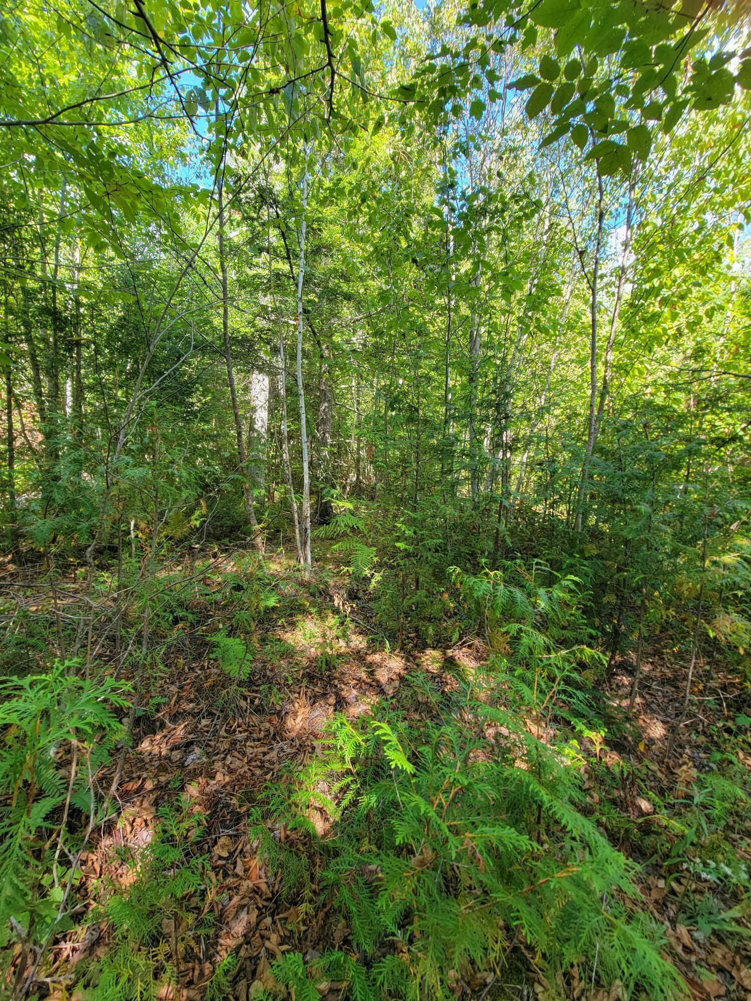 B-2-backlot B-2-backlot Pioneer Path Aurora, ME 04408 - Photo 16 of 24 B-2 Back Lot