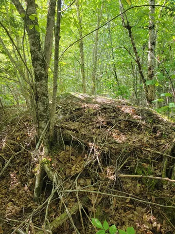 $28,000 | B-2-backlot B-2-backlot Pioneer Path, Aurora, ME 04408