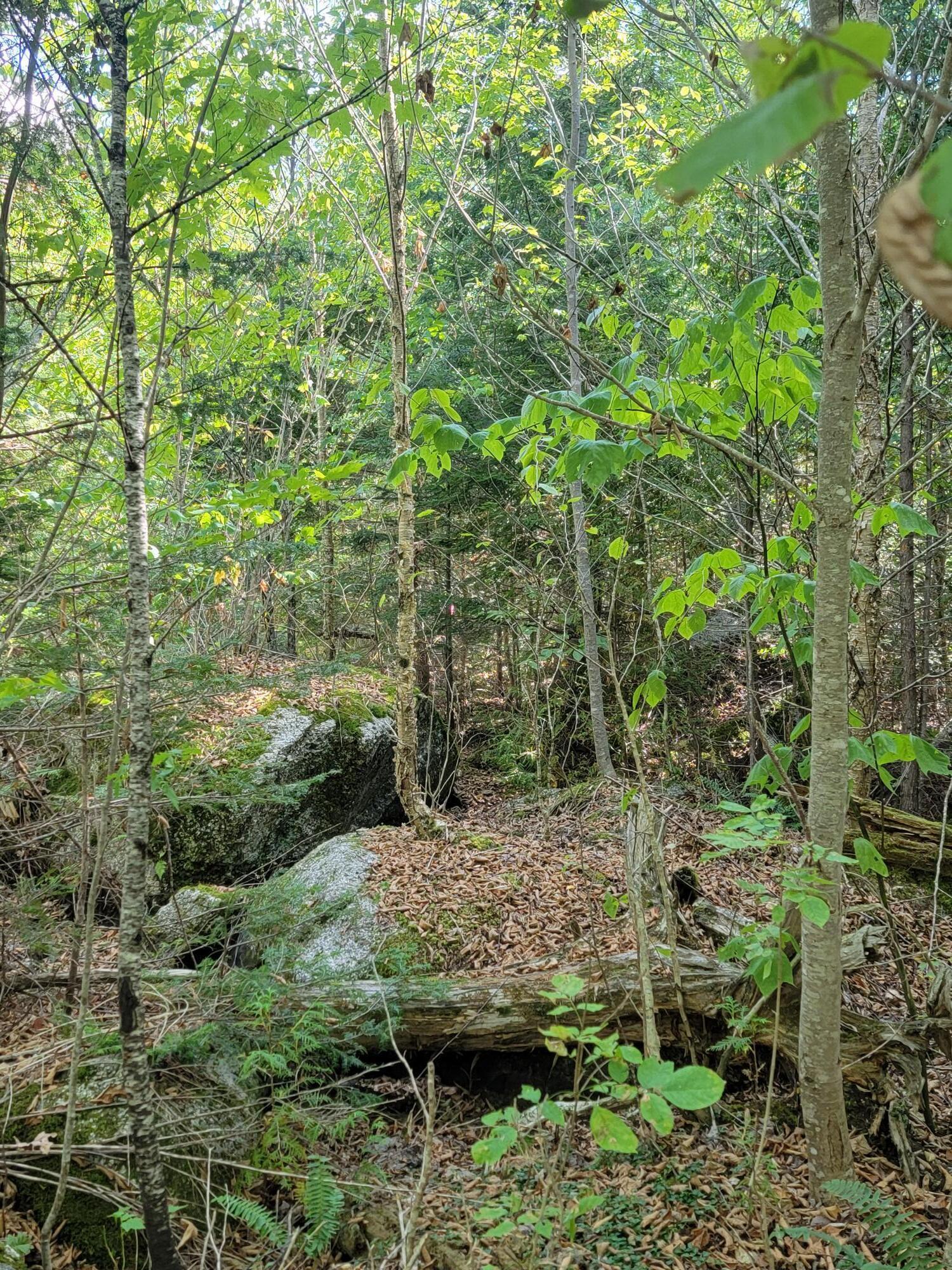 B-2-backlot B-2-backlot Pioneer Path Aurora, ME 04408 - Photo 17 of 24 B-2 Back Lot