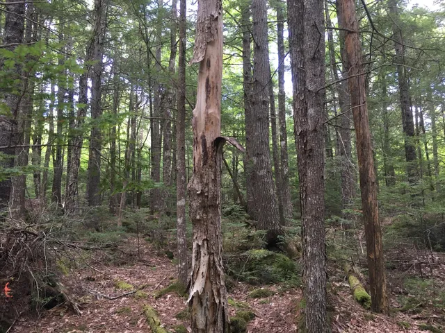 $28,000 | B-2-backlot B-2-backlot Pioneer Path, Aurora, ME 04408