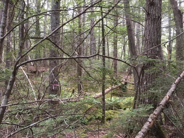 $28,000 | B-2-backlot B-2-backlot Pioneer Path, Aurora, ME 04408