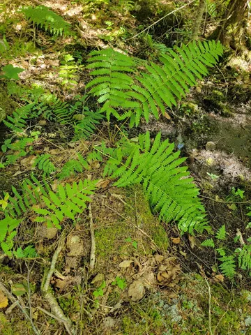 $28,000 | B-2-backlot B-2-backlot Pioneer Path, Aurora, ME 04408