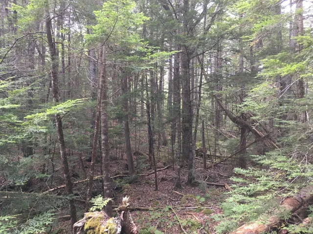 $28,000 | B-2-backlot B-2-backlot Pioneer Path, Aurora, ME 04408