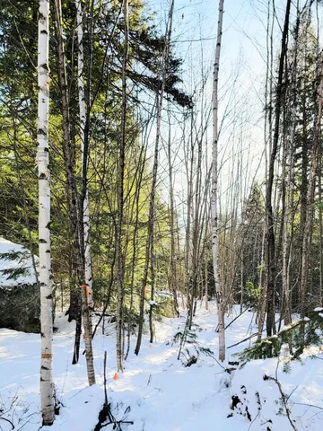 $28,000 | B-2-backlot B-2-backlot Pioneer Path, Aurora, ME 04408