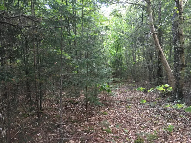 $28,000 | B-2-backlot B-2-backlot Pioneer Path, Aurora, ME 04408