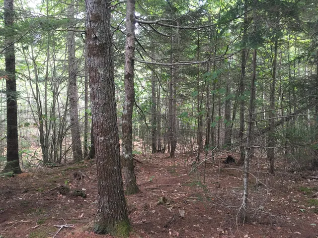$28,000 | B-2-backlot B-2-backlot Pioneer Path, Aurora, ME 04408