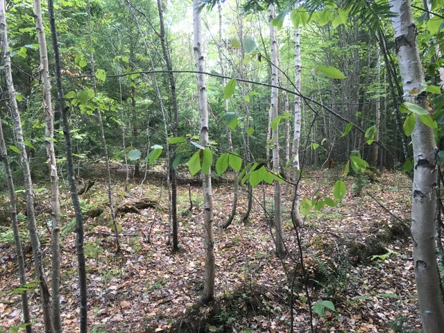 $28,000 | B-2-backlot B-2-backlot Pioneer Path, Aurora, ME 04408