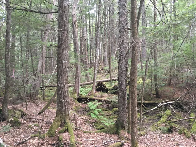 $28,000 | B-2-backlot B-2-backlot Pioneer Path, Aurora, ME 04408