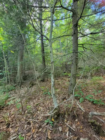 $28,000 | B-2-backlot B-2-backlot Pioneer Path, Aurora, ME 04408