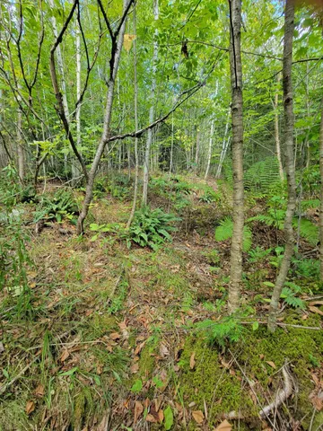$28,000 | B-2-backlot B-2-backlot Pioneer Path, Aurora, ME 04408