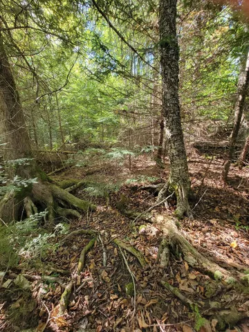 $28,000 | B-2-backlot B-2-backlot Pioneer Path, Aurora, ME 04408