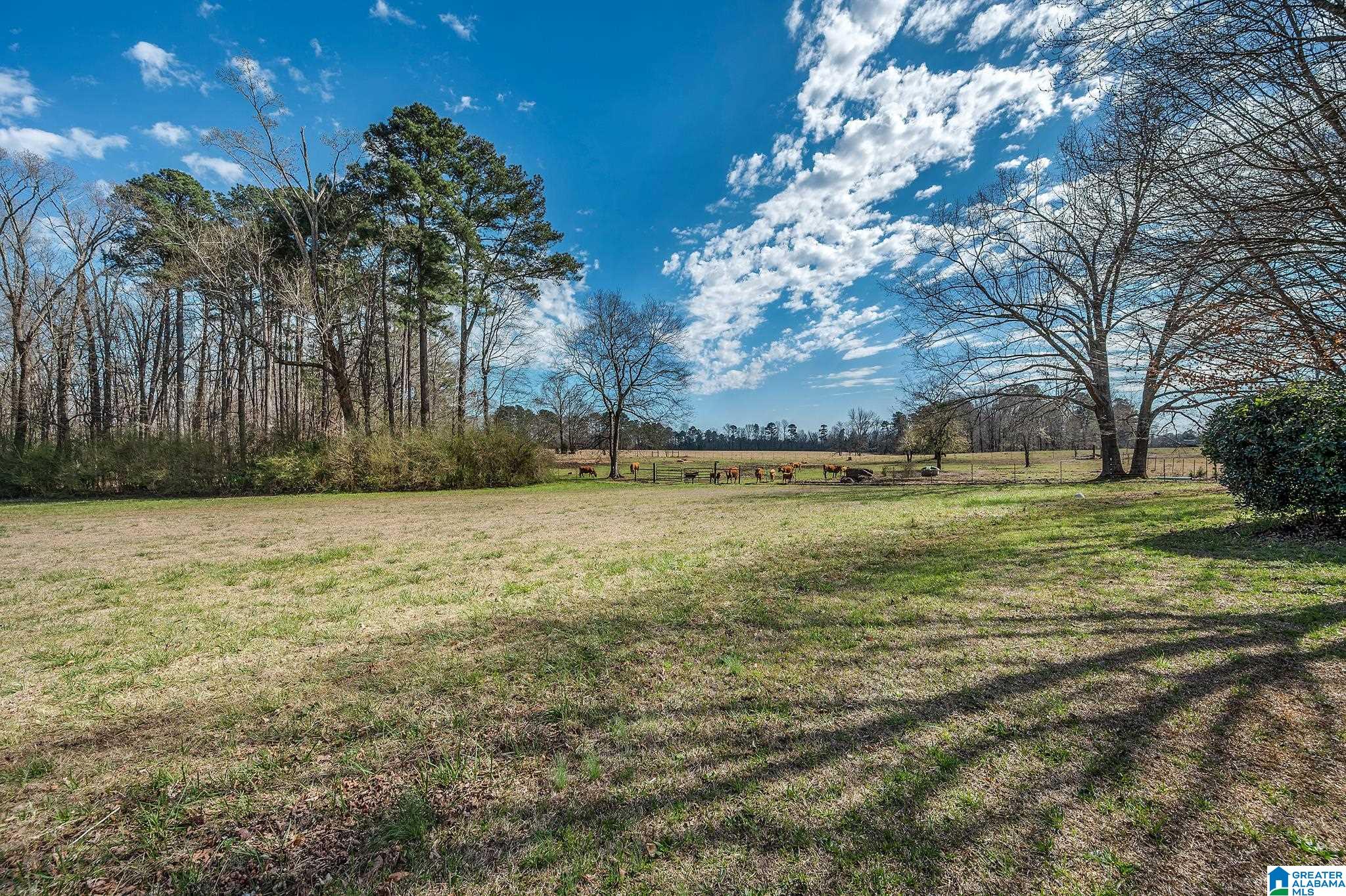 3821 Mt Olive Road Mount Olive, AL 35117 - Photo 9 of 40