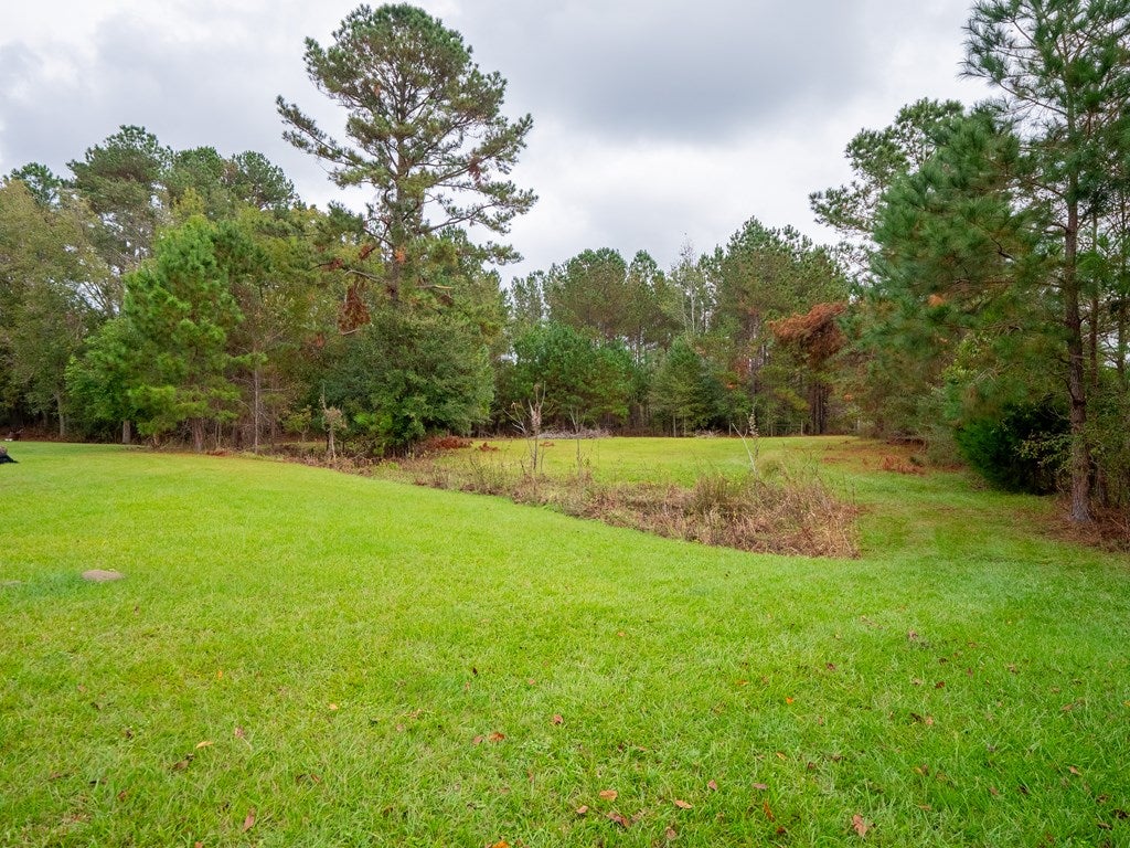 6760 Clyattstone Road Hahira, GA 31632 - Photo 53 of 59 Gallery Image 53