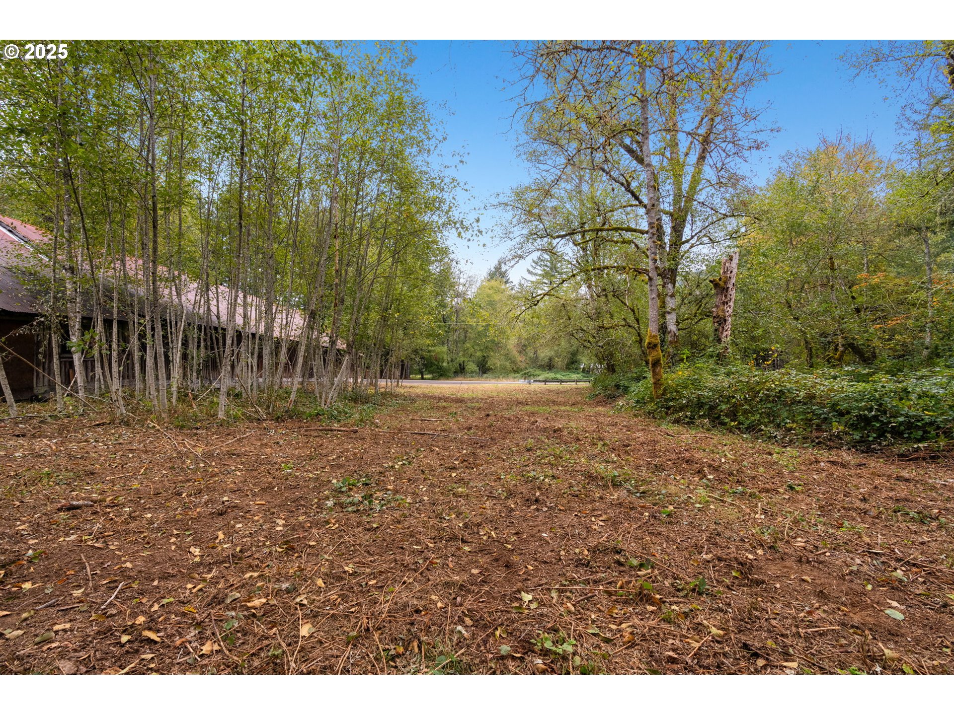 0 Northeast Yale Bridge Road Amboy, WA 98601 - Photo 11 of 28 a view of backyard with green space