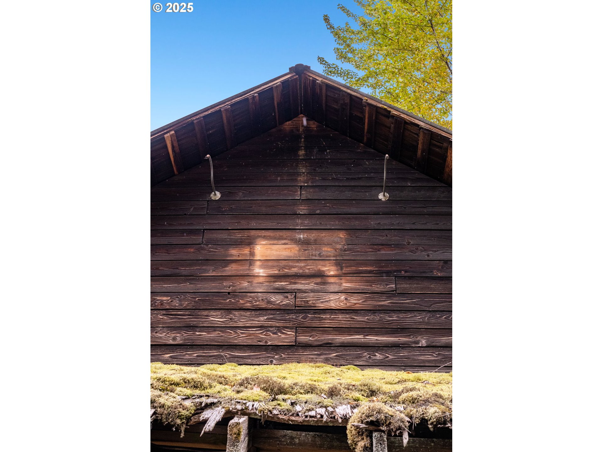 0 Northeast Yale Bridge Road Amboy, WA 98601 - Photo 25 of 28