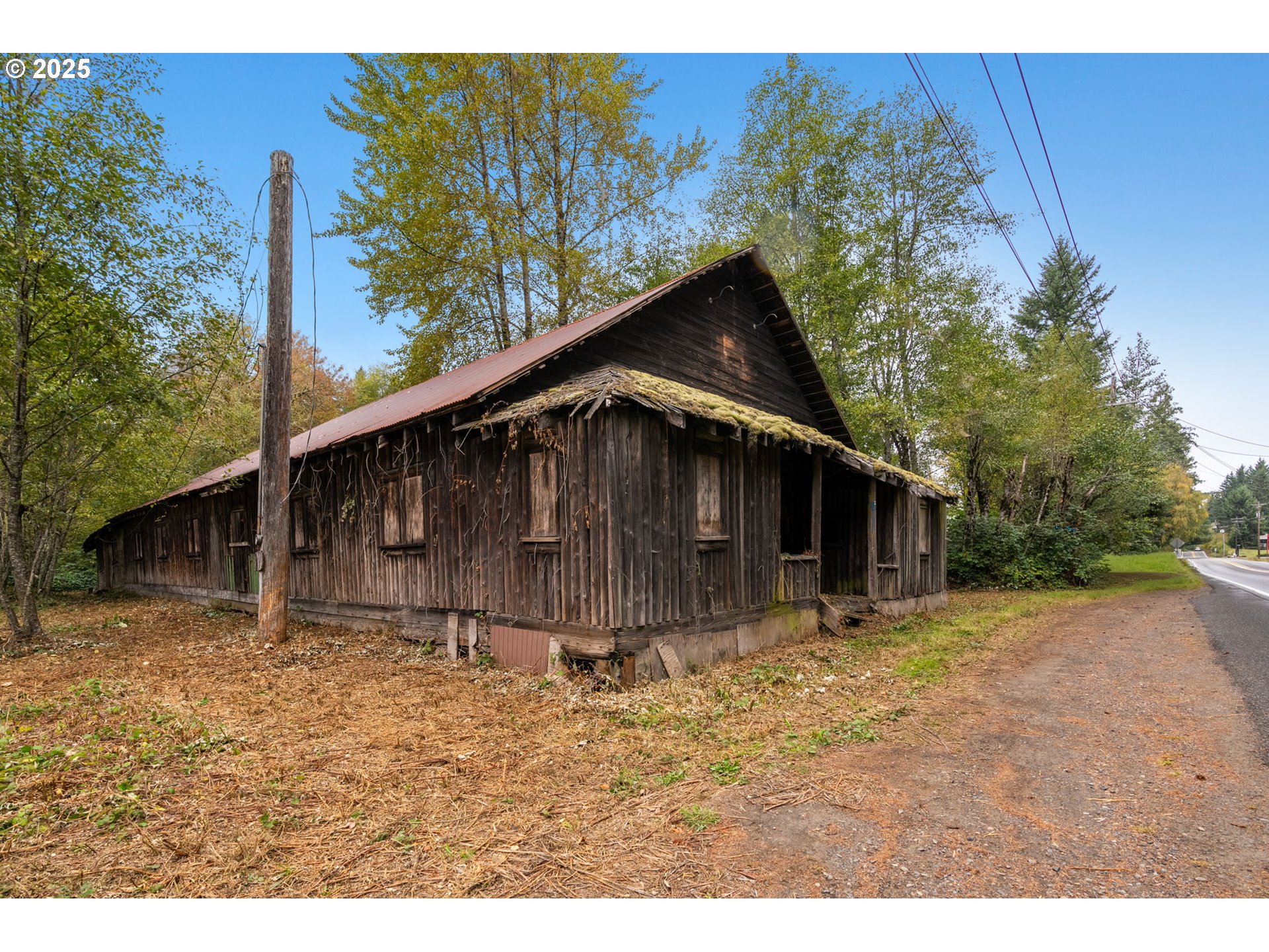 0 Northeast Yale Bridge Road Amboy, WA 98601 - Photo 4 of 28 a backyard of a house with lots of green space