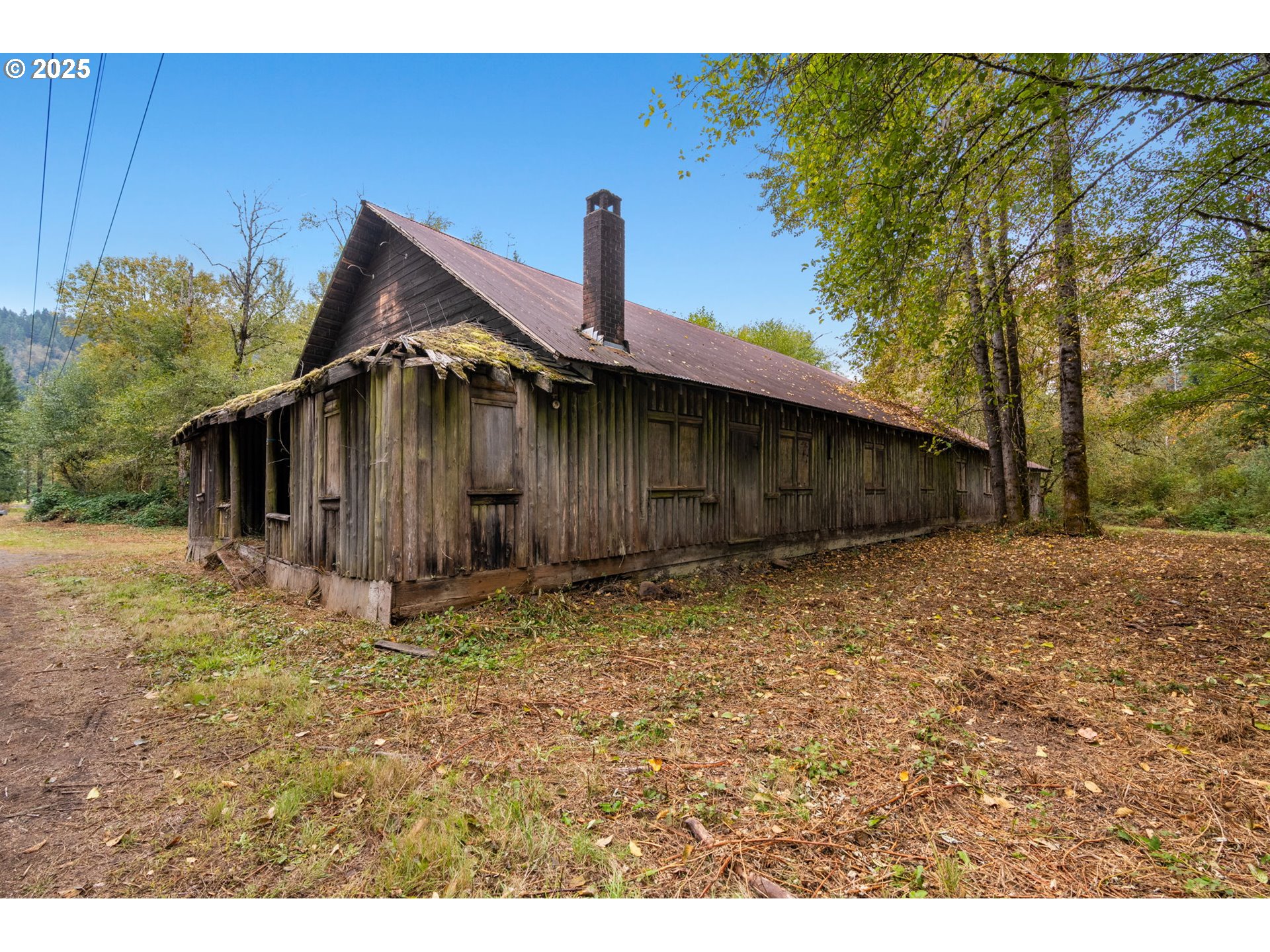 0 Northeast Yale Bridge Road Amboy, WA 98601 - Photo 5 of 28 a backyard of a house with lots of green space